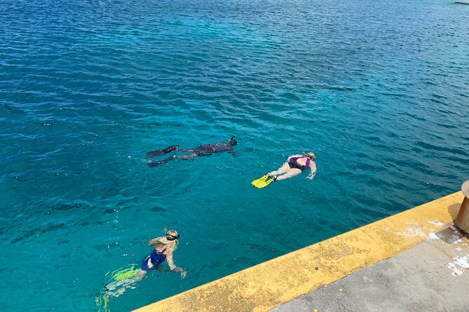 Snorkeling with Sea Turtles - How the beach package changes the value