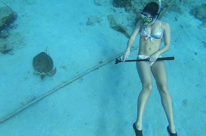 Snorkeling with Sea Turtles - Who will enjoy this most