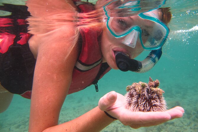 Snorkeling with Sea Turtles at St. Thomas - Why Brewer’s Bay works so well for beginners