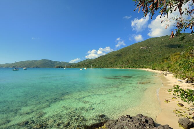 Snorkeling with Sea Turtles at St. Thomas - Is $79 a fair price?