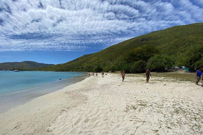 Snorkeling with Sea Turtles at St. Thomas - Who should book this St. Thomas snorkeling tour?
