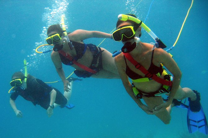 Snuba Adventure at Coral World Ocean Park - Along the reef, expect fish more than large animals