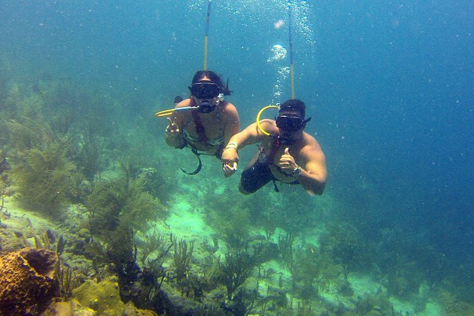Snuba Adventure at Coral World Ocean Park - Why the four-person limit matters