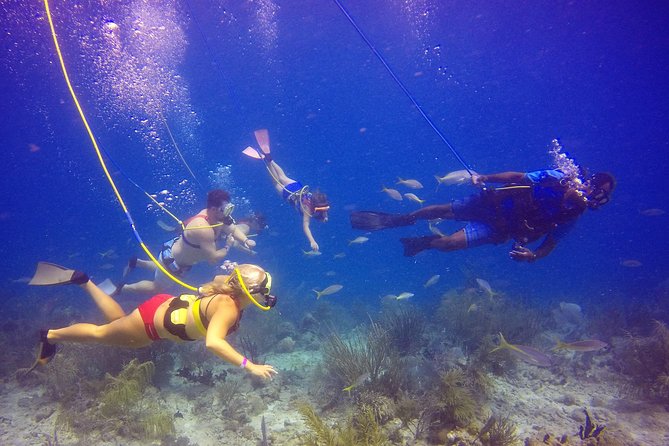 Snuba Adventure at Coral World Ocean Park - Add Coral World to make the price work