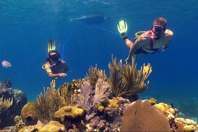 Snuba Adventure at Coral World Ocean Park - The orientation makes or breaks the first few minutes