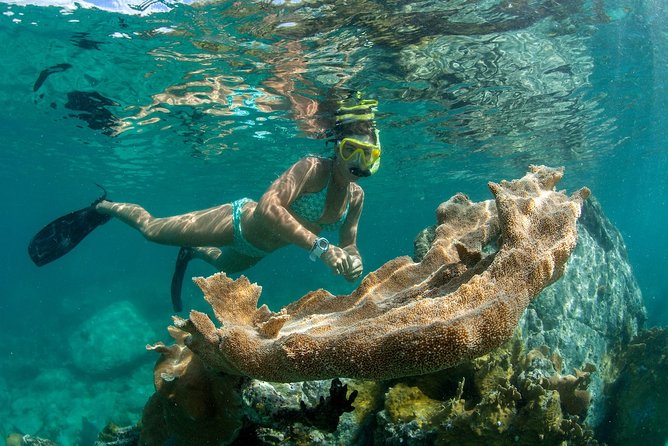 St. John Full-Day Lime Out Snorkel Taco Lunch & Open Bar - Westin - Weather, Water Conditions, and Who Should Book