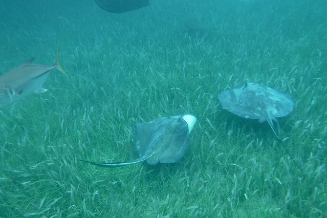 St John & Surrounding Cays - Full-Day Sail/Snorkel, 6 Guests Max - Lunch between the swims