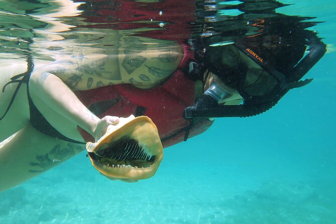 St Thomas Kayak and Sea Turtle Snorkel Excursion - Reaching the Turtle-Filled Bay