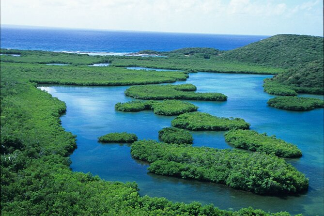 St Thomas Mangrove Lagoon Kayak and Snorkel Tour in the US Virgin Islands - How strenuous is the 2.5-hour outing?