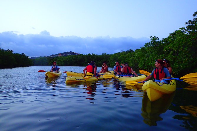 St Thomas Night Kayak Tour - Key points at a glance