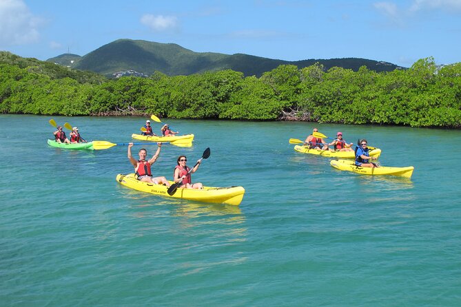 St Thomas Shore Excursion: Mangrove Lagoon Kayak and Snorkel Tour - Key points to know before booking