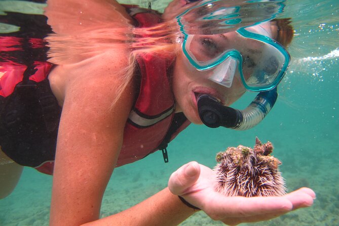 St Thomas Shore Excursion: Mangrove Lagoon Kayak and Snorkel Tour - The kayak route through Patricia Cay and Long Point