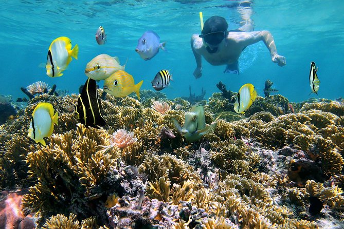 St Thomas~St John Snorkel, Swim & Beach Trip on MV Island Flyer - Quick points about the MV Island Flyer trip