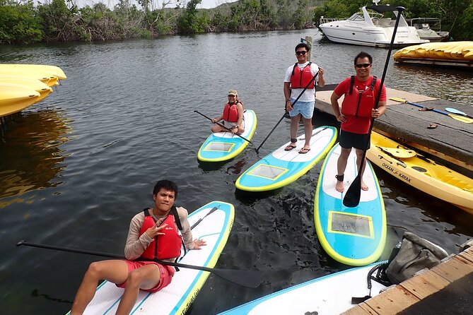 Stand Up Paddleboard Rental in St Thomas - Finding wildlife without rushing