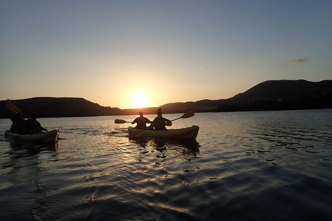 Sunset Kayak Tour in the Mangrove Lagoon, St Thomas - Why the Guide Can Make or Break the Paddle