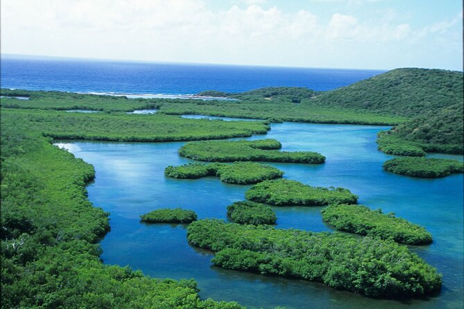 Sunset Kayak Tour in the Mangrove Lagoon, St Thomas - A Calm Activity With Just Enough Exercise