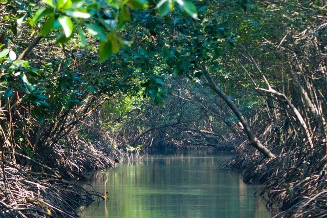 Sunset Kayak Tour in the Mangrove Lagoon, St Thomas - The Sunset Is Part of the Experience, Not Just a Backdrop