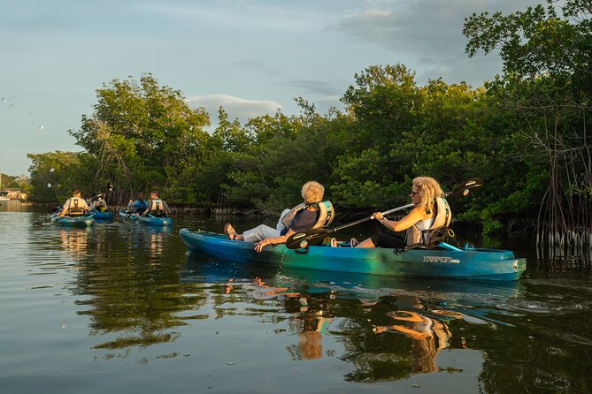 Sunset Kayak Tour in the Mangrove Lagoon, St Thomas - Looking Below the Kayak for Marine Life