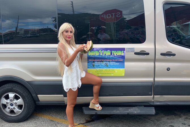 The Best of St Thomas Private Sightseeing Tour - What the private vehicle adds