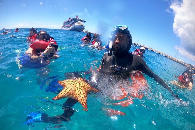 The Frederiksted St. Croix Sea Turtles Snorkeling Tour - Turtle Cove Beside Frederiksted Pier