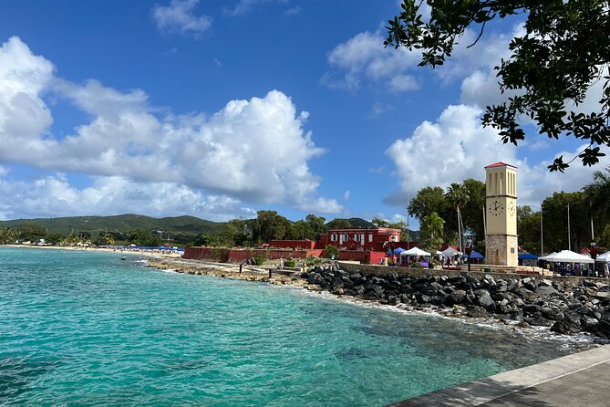 The Frederiksted St. Croix Sea Turtles Snorkeling Tour - What the Guide Adds to the Water Time