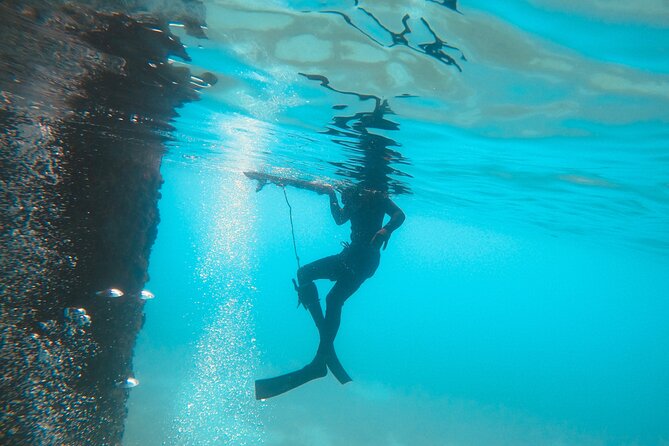 The Frederiksted St. Croix Sea Turtles Snorkeling Tour - Equipment, Comfort, and What to Bring