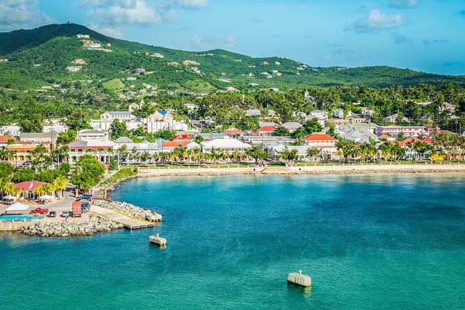 The Frederiksted St. Croix Sea Turtles Snorkeling Tour - How the $89 Price Measures Up