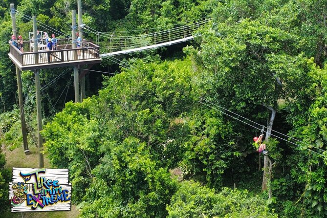 Tree Limin' Extreme Zipline - Two sky bridges add a change of pace