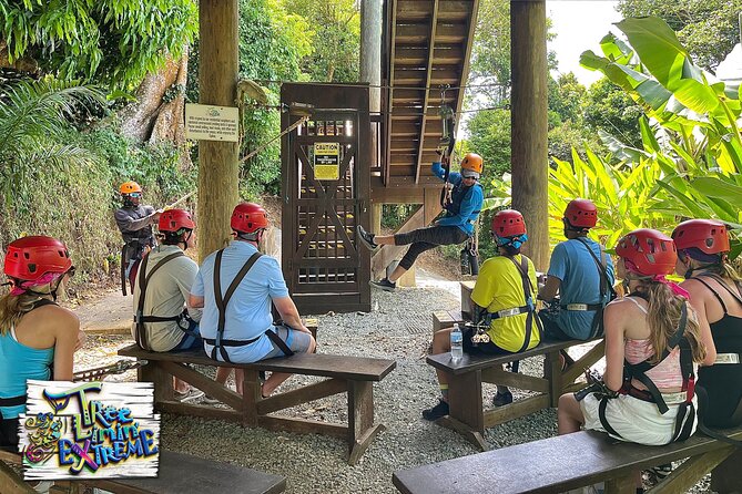 Tree Limin' Extreme Zipline - Safety training before the first line