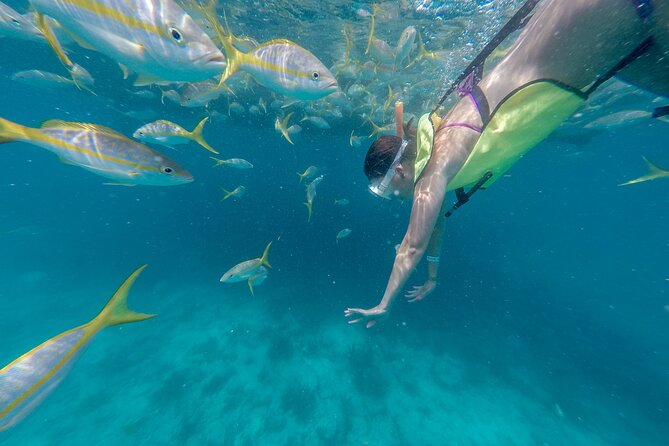 Turtle Snorkel Sail on Buck Island from Frenchman's Reef - What the catamaran adds to the outing