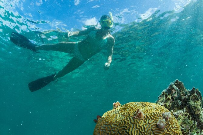 Turtle Snorkel Sail on Buck Island from Frenchman's Reef - Should you book Turtle Snorkel Sail on Buck Island?