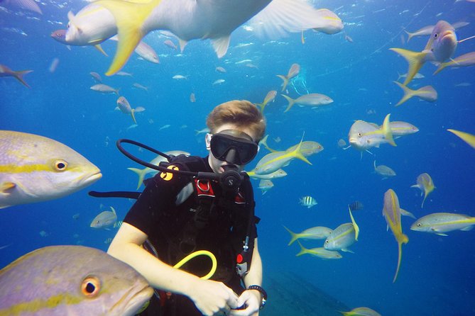 Two-Tank Dive for Certified Diving in St Thomas - Equipment, snacks, and what your price covers
