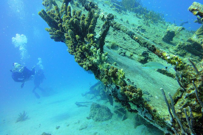 Two-Tank Dive for Certified Diving in St Thomas - Who will get the most from this trip