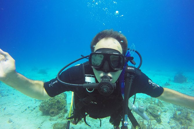 Two-Tank Dive for Certified Diving in St Thomas - A practical booking decision at $189