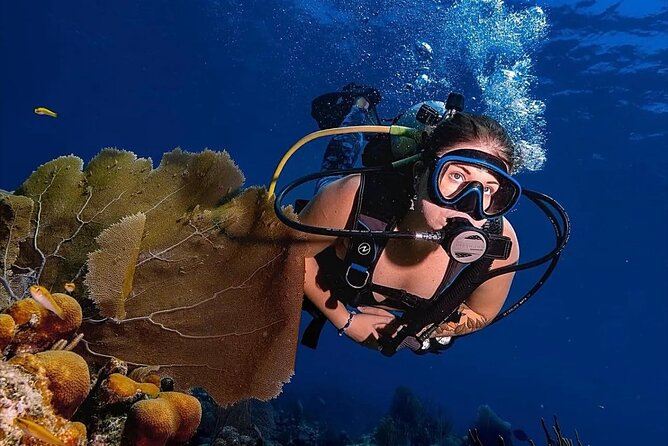 Two-Tank Morning Dive Trip for Certified Divers - Who should book this St. John scuba outing?