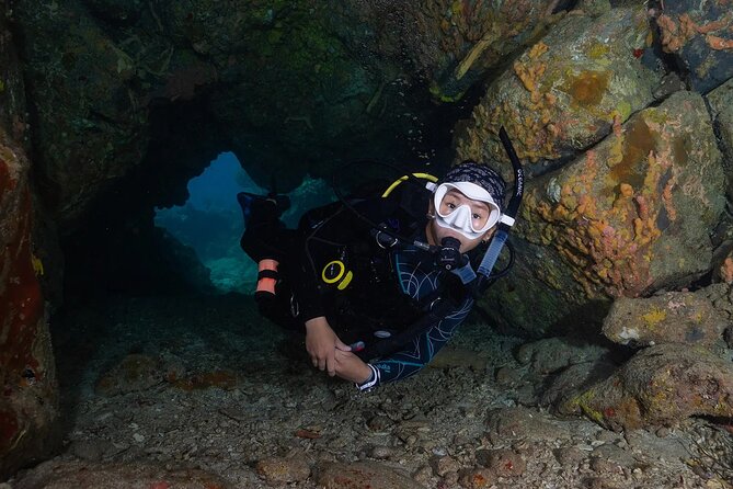 Two-Tank Morning Dive Trip for Certified Divers - Practical details before you book