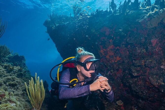 Two-Tank Morning Dive Trip for Certified Divers - Should you book the morning two-tank trip?