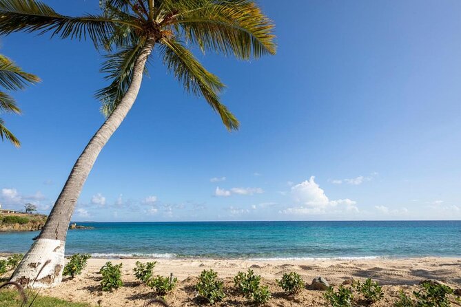 Vi Top Taxi & Tours -Airport Transfer to Bolongo Bay/ Limetree - What the rating tells you, and what it does not