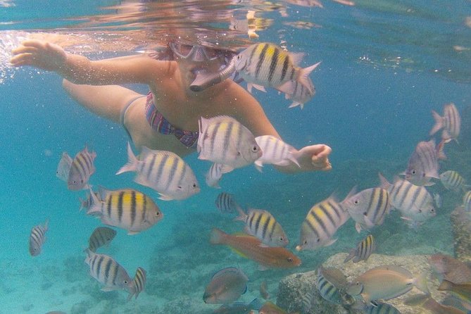 Vi Top Taxi &Tours USVI-Coki Beach Snorkeling Tour - Drake’s Seat and a classic Magens Bay lookout