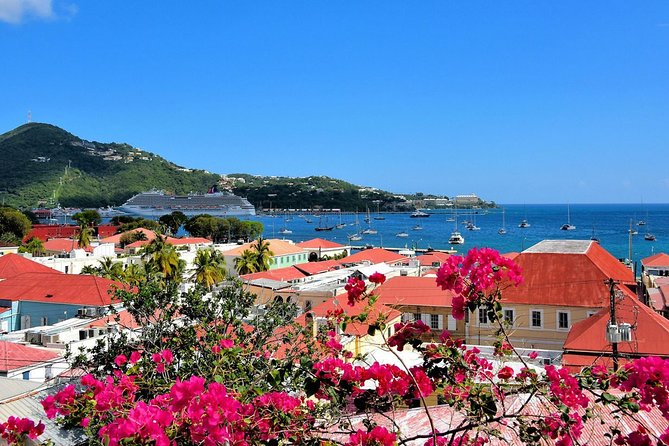 Vi Top Taxi &Tours USVI-St Thomas Private Group-Island Tour - Pickup is convenient for cruise and hotel stays